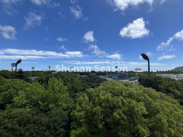 【展望】 | 広大で自然豊かな「平塚総合公園」が目の前に広がり、眺望良好です◎　
毎日の生活も、この開放感を感じれば気分が上がりますね☆