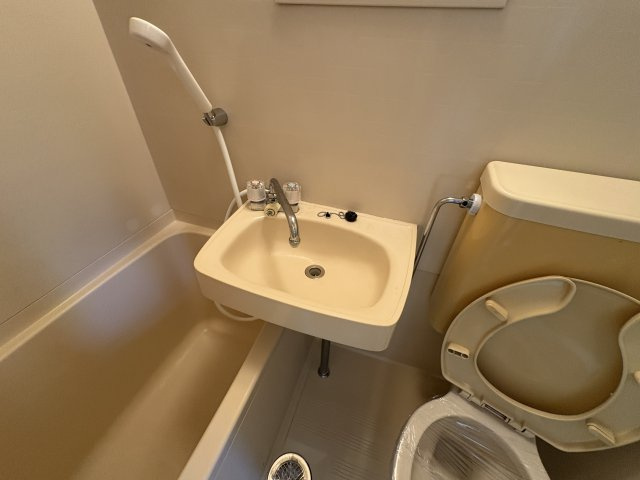 リッツハイツ池上の洗面所