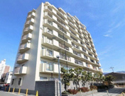 エクセレンス山本の画像