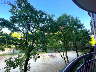 物件からの展望