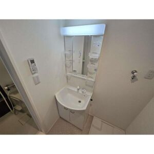 Feliz新守西の洗面所