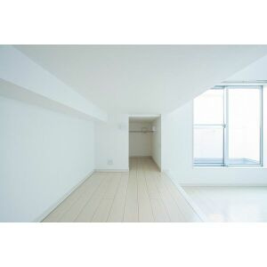 ステラ川西のその他