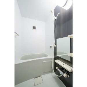 ステラ川西の浴室