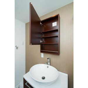 ステラ川西の洗面所