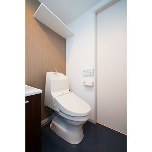 ステラ川西のトイレ