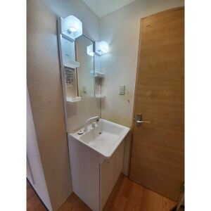 アプローズ川西の洗面所