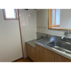 アネックスレイメイのキッチン