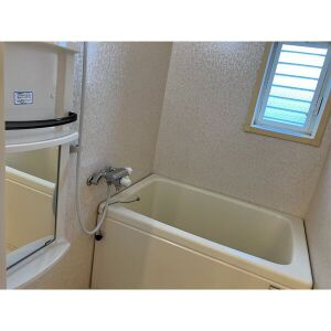 アネックスレイメイの浴室