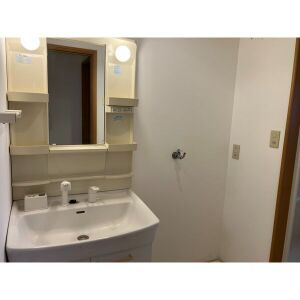 アネックスレイメイの洗面所