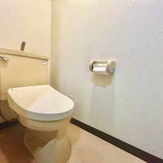 ロイヤルシャトー高丘東　中央区高丘北一丁目のトイレ|収納スペースもございます！
