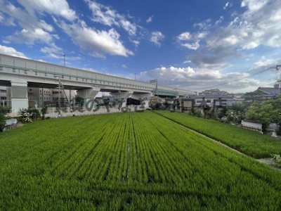 【展望】 | リバティーコート