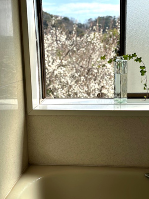 【浴室】 | 長沢６丁目戸建
