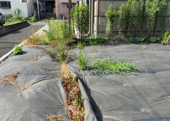 【外観】 | 物件の詳細については、現地を見てわかること以外に、役所や法務局などで調べないとわからないことがあります。そのため、現地に行く場合は、もしこの物件を買ったらどのような生活ができるかをイメージしましょう。
