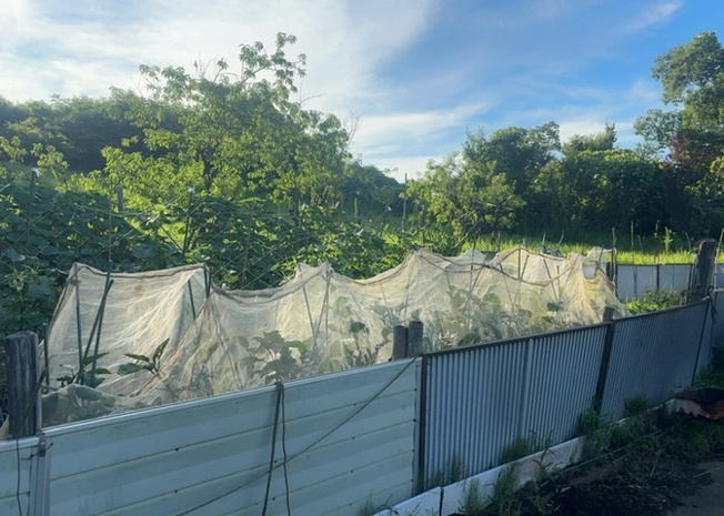 【外観】 | 販売されている全ての土地が、宅地用の土地であるとは限りません。都市計画法に基づき、基本的に住宅を建てることができるのは土地計画区であることに加え、市街化区域として定められている地域のみとなっています。