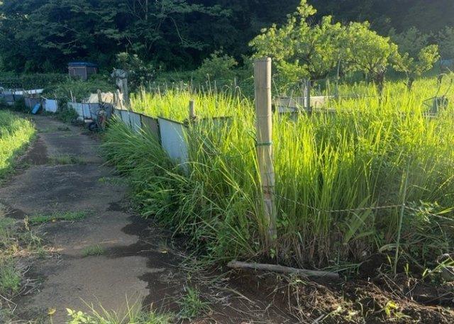 【外観】 | 物件の詳細については、現地を見てわかること以外に、役所や法務局などで調べないとわからないことがあります。そのため、現地に行く場合は、もしこの物件を買ったらどのような生活ができるかをイメージしましょう。