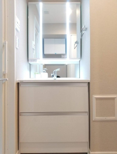 藤和シティホームズ上野山伏町の独立洗面台