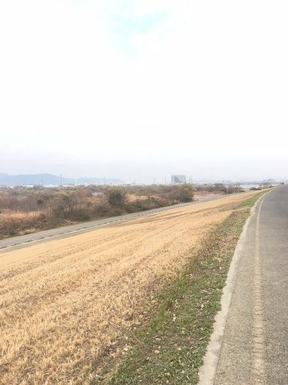 【その他】 | リバティパーク枚方B棟