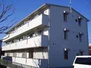 インペリアルN・Yの画像