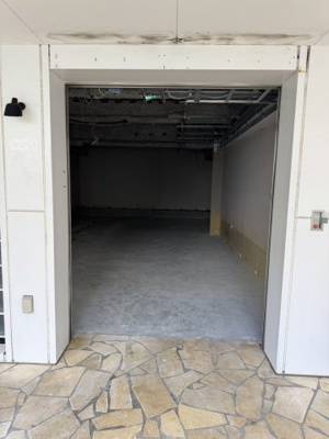 【その他】 | ルイ・パシフィック