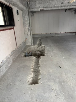 【その他】 | ルイ・パシフィック