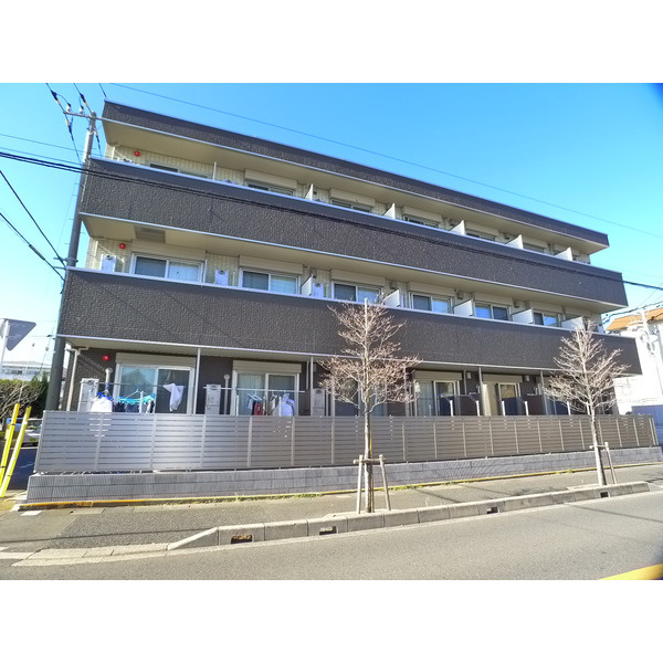 Greige（グレージュ）