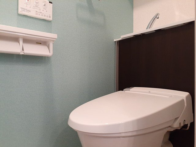 アルバ　八尾のトイレ