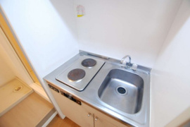 同タイプ写真の為、現況優先。