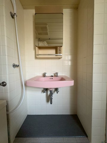 茨木グランドハイツの洗面所