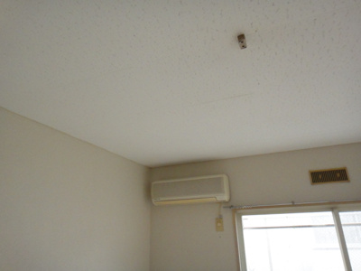 【居間・リビング】 | メゾンデスポアール