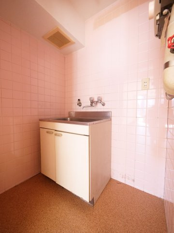 サンジェルマン中納言のその他