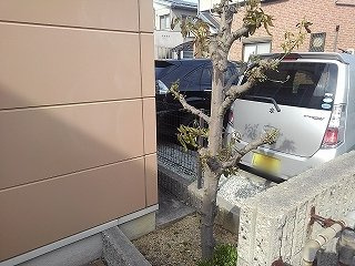 レオパレスＭＥのその他|物件前にあり