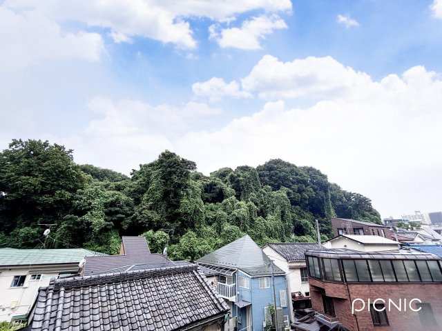 カテリーナ護国寺の展望