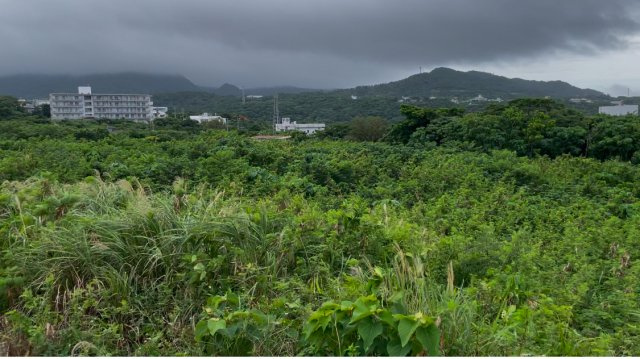 本部町渡久地大規模土地