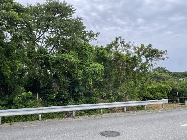 本部町渡久地大規模土地の外観