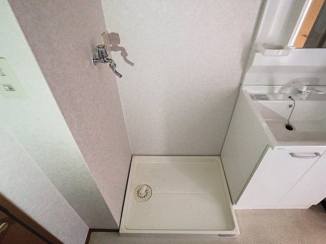 ウィルモア・Nのその他