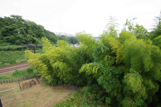 【展望】 | 【仲介手数料無料！！】稲城市坂浜4丁目　新築戸建て（全3棟）1号棟　5099万円 | 周りにほとんど家が無いのが良い点になります。