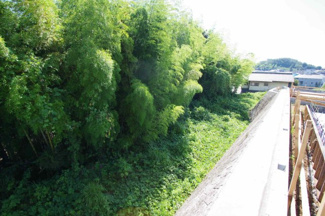 【展望】 | 【仲介手数料無料！！】稲城市坂浜4丁目　新築戸建て（全3棟）2号棟　4599万円 | 北東側