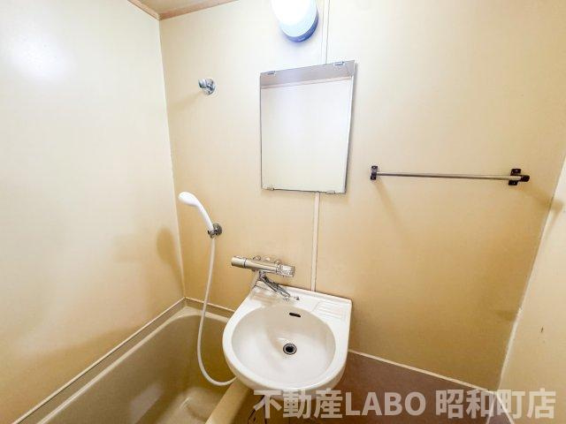 ジョイフルミサキの洗面所