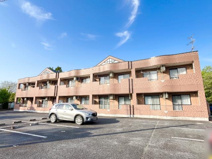 Peaceful forest（ピースフル　フォレスト）の画像