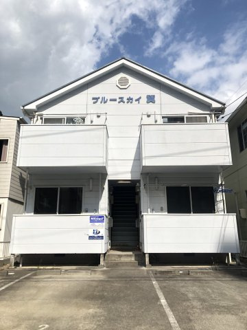 ブルースカイ翼の外観