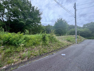 【外観】 | 丹波篠山市今田町今田　土地