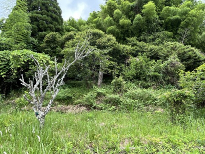 【外観】 | 下小倉　売り土地