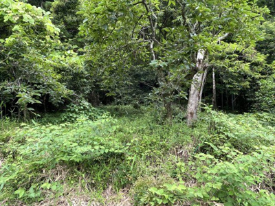 【外観】 | 下小倉　売り土地