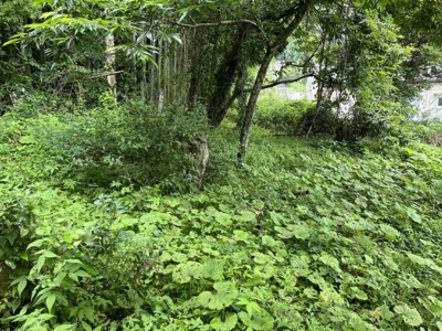 【外観】 | 下小倉　売り土地
