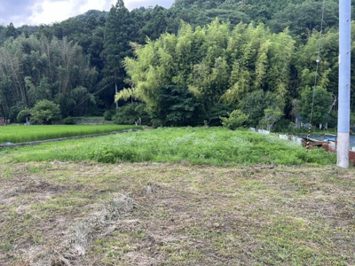 【外観】 | 山南町和田売地（畑、山林付き）