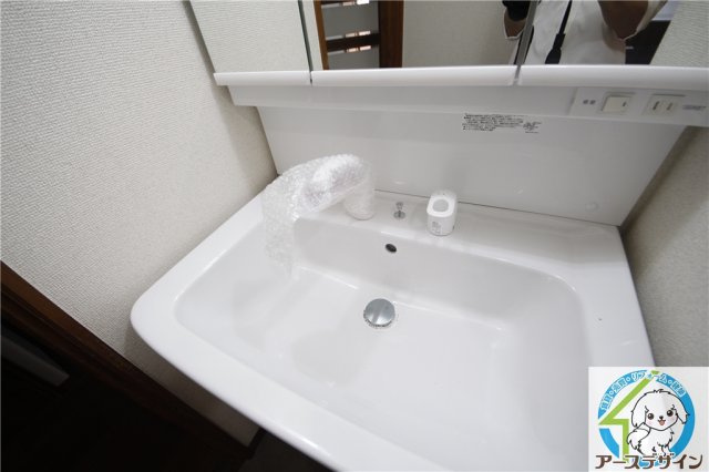 ロイヤルメゾン富士の洗面所