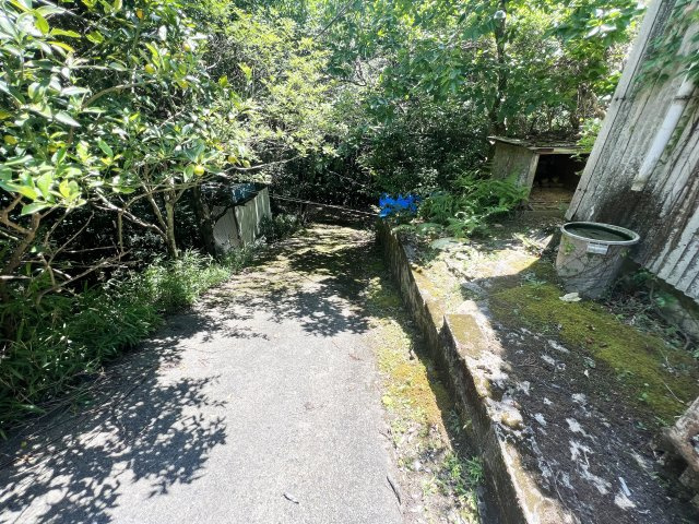 【前面道路含む現地写真】の画像