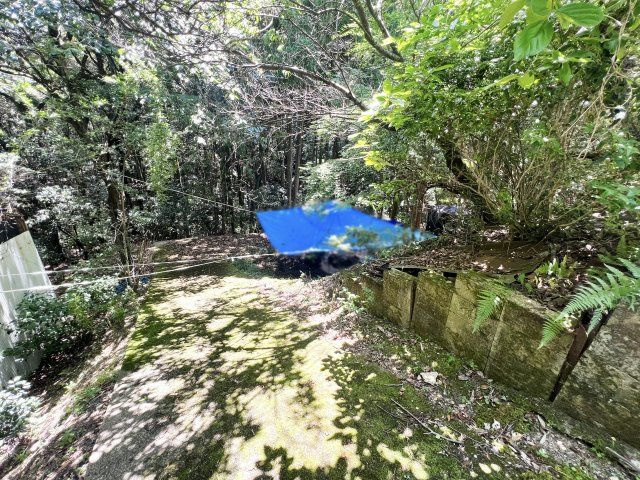 【前面道路含む現地写真】の画像