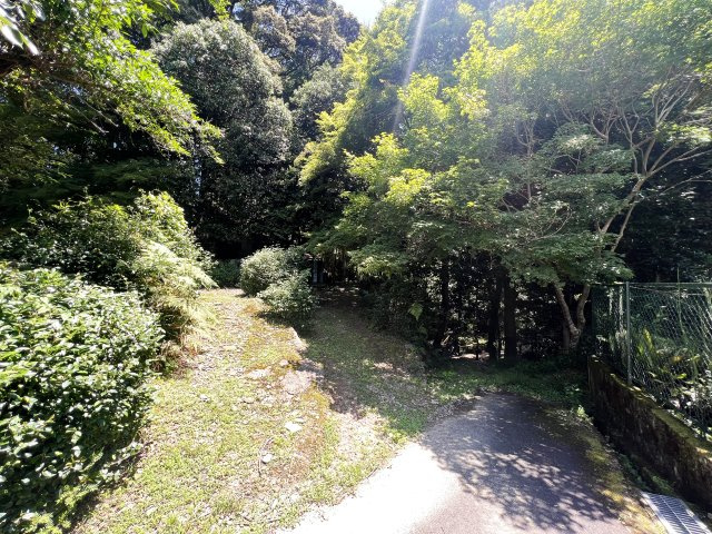 【前面道路含む現地写真】の画像