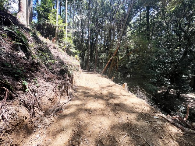 【前面道路含む現地写真】の画像